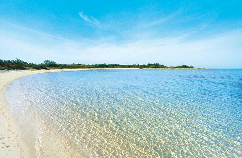 Vila La Dimora Di Netta Carovigno Exteriér fotografie